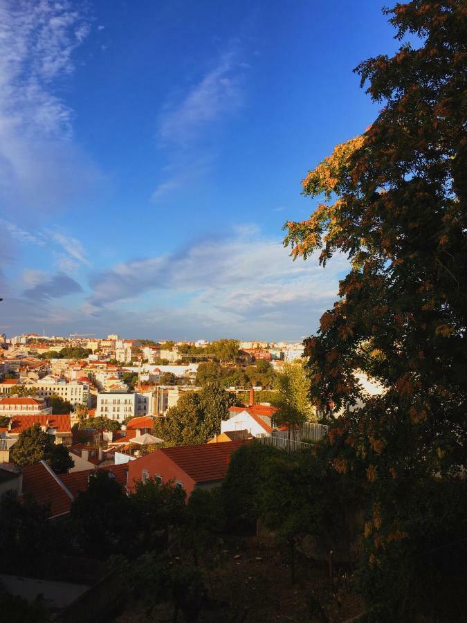 Charm Discovery Principe 7 Lisboa Eksteriør bilde
